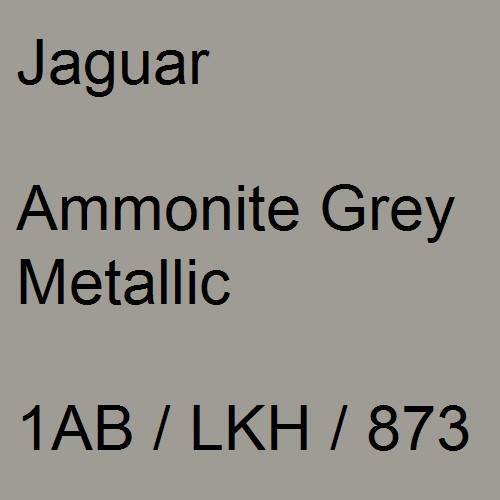 Jaguar, Ammonite Grey Metallic, 1AB / LKH / 873.